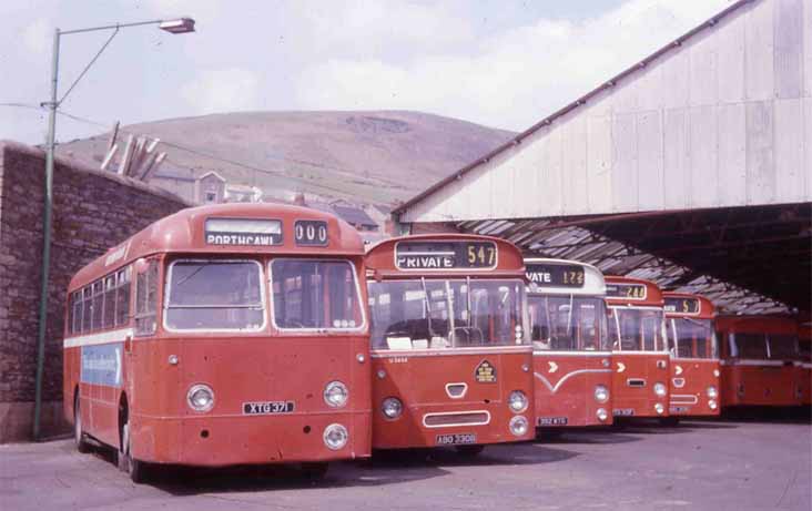 National Welsh Leyland Tiger Cubs